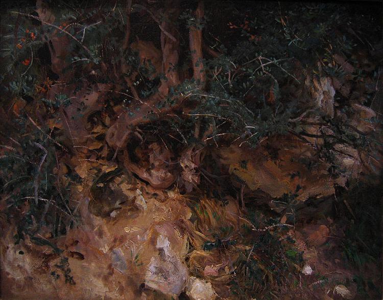 John Singer Sargent Thistles and Herbage on a Hillside